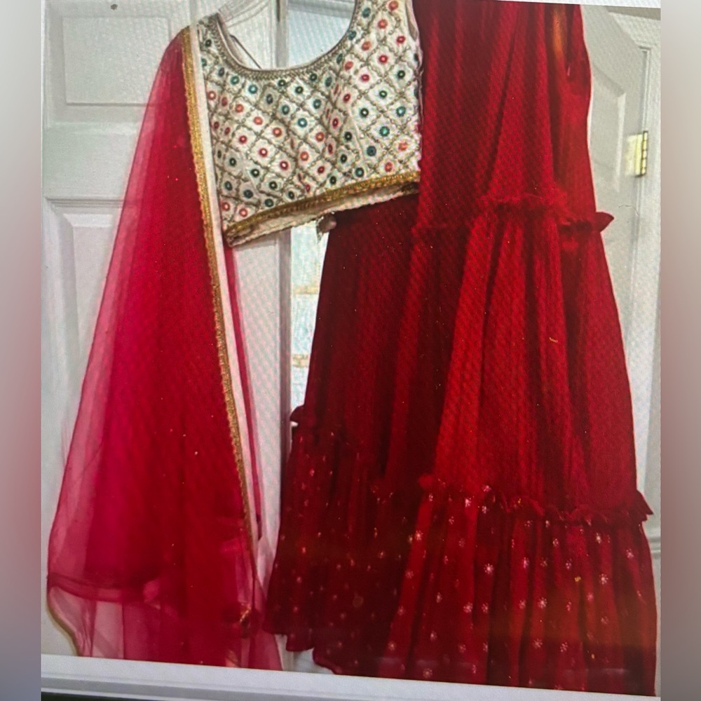 Elegant Red and Gold Traditional Dress
